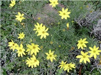 d78bb421-Picture 071.jpg